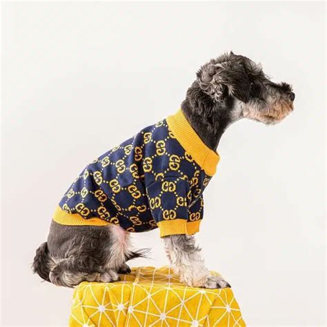 designer dog clothes gucci|gucci dog collection.